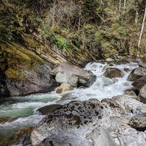 Meet your Posher, Paige